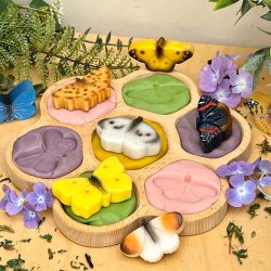 Sansesteiner sommerfugl