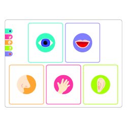 Lr om sansene - stor lrepakke