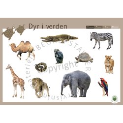 Begrepstavler - Dyr, 5 stk.