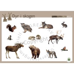 Begrepstavler - Dyr, 5 stk.