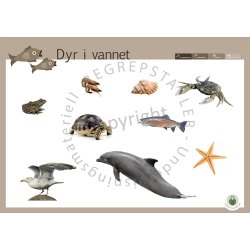 Begrepstavler - Dyr, 5 stk.