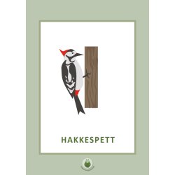 Samtalekort - Fugler