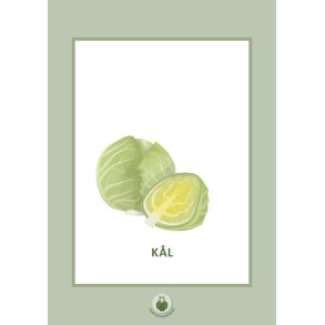 Samtalekort - Grnnsaker