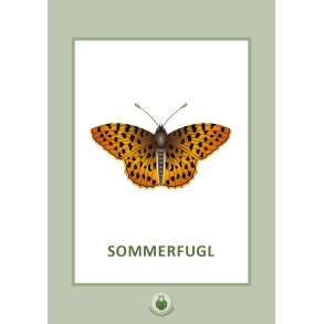 Samtalekort - Insekter