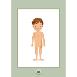 Samtalekort - Kroppen