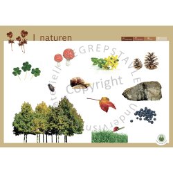 Begrepstavler - transport, arbeid og natur, 5 stk.