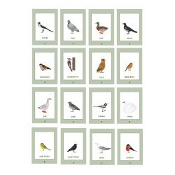 Samtalekort - Fugler