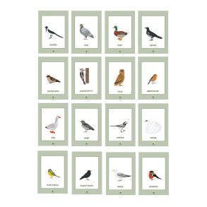 Samtalekort - Fugler